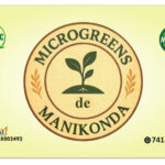 Microgreens De Manikonda: How a Hyderabad Entrepreneur Is Redefining Urban Nutrition